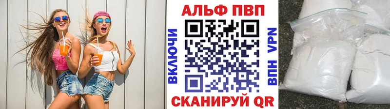 A-PVP СК  Бородино 