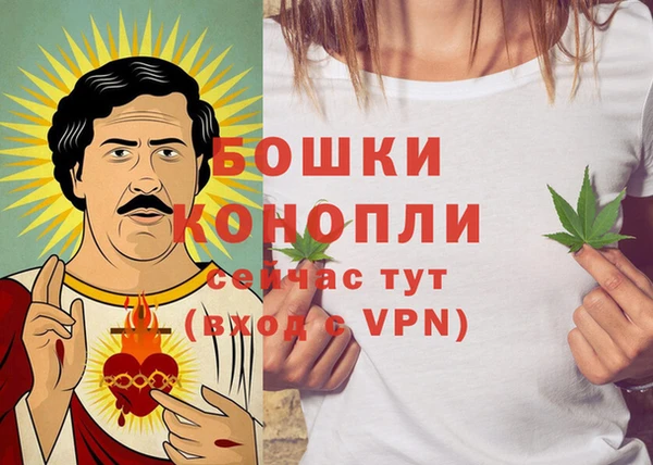 ГАЛЛЮЦИНОГЕННЫЕ ГРИБЫ Вяземский