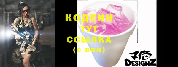 ГАЛЛЮЦИНОГЕННЫЕ ГРИБЫ Вяземский