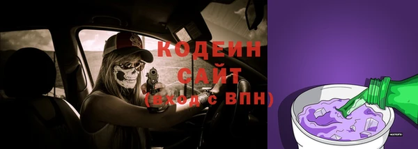 мдпв Струнино