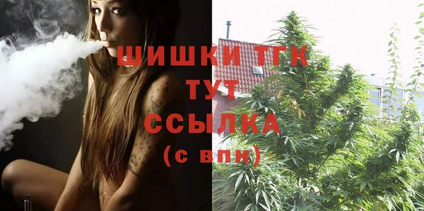 стаф Вязники