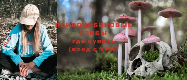 2c-b Вязьма