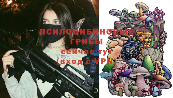 ГАЛЛЮЦИНОГЕННЫЕ ГРИБЫ Вяземский