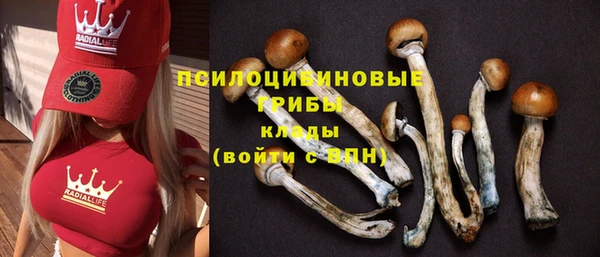 ГАЛЛЮЦИНОГЕННЫЕ ГРИБЫ Вяземский