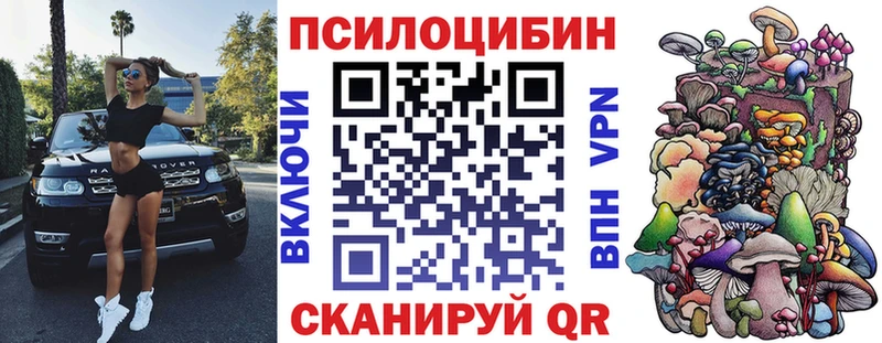 это Telegram  Бородино  Псилоцибиновые грибы мицелий  блэк спрут ССЫЛКА 